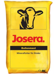Bullenmast