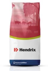 Hendrix LK 20%