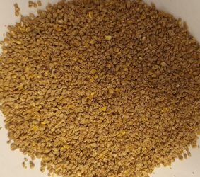 Kurczak Gold 1